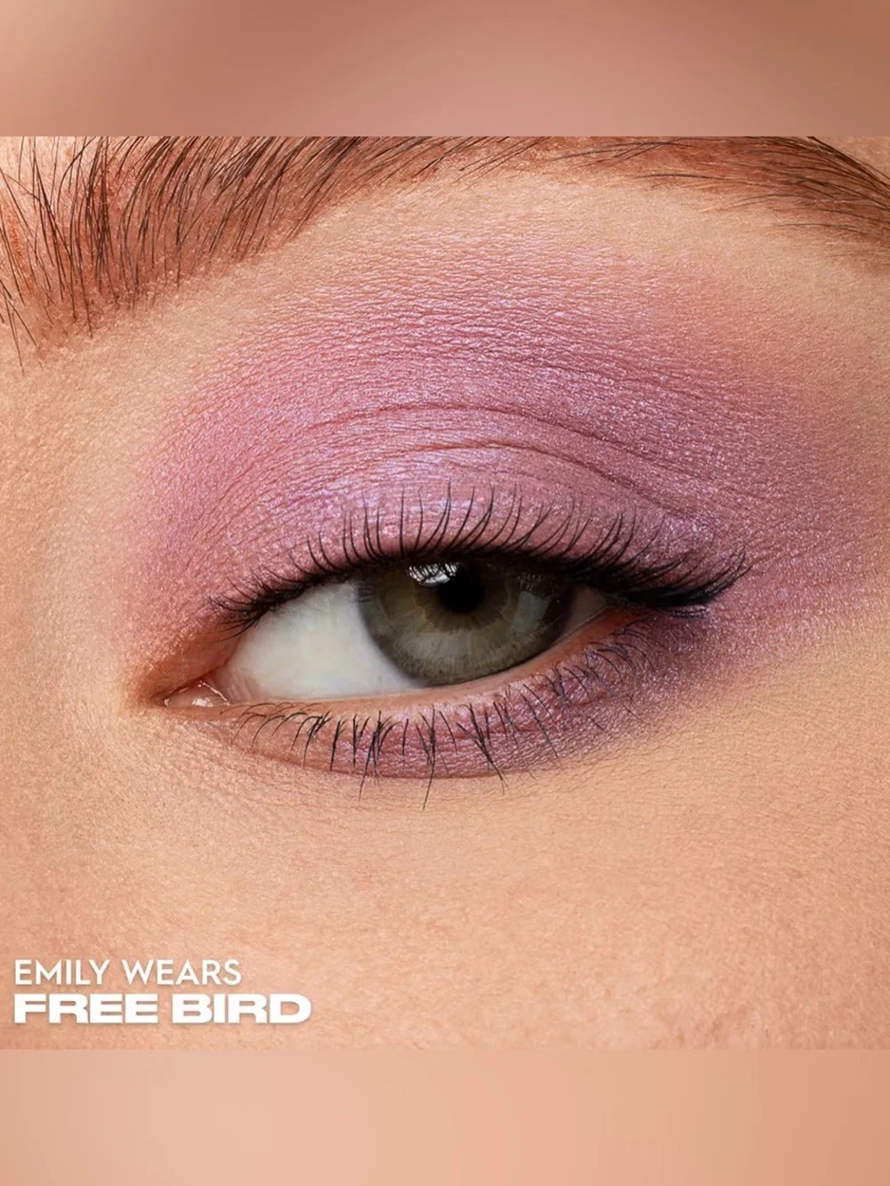 Urban Decay 24/7 SHADOW in Free Bird NIB